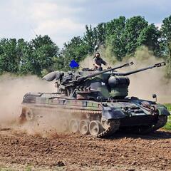 Flugabwehrkanonenpanzer "Gepard". (Foto: Rainer Lippert; CC BY-SA 4.0)