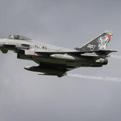 (Foto: Bundesheer/Daniel Trippolt)