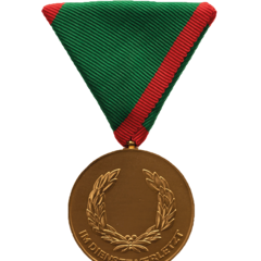 Verwundetenmedaille 1. Klasse BMI Vorderseite (Foto: Peter Steiner)