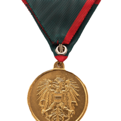 Verwundetenmedaille 1. Klasse BMLV Rückseite (Foto: Peter Steiner)