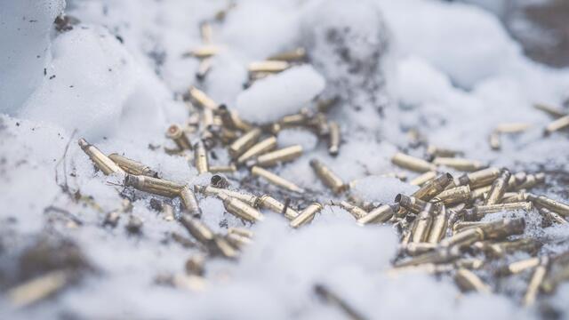 (Foto: Bundesheer/Daniel Trippolt)