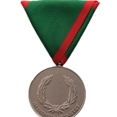 Verwundetenmedaille 2. Klasse BMI Vorderseite (Foto: Peter Steiner)