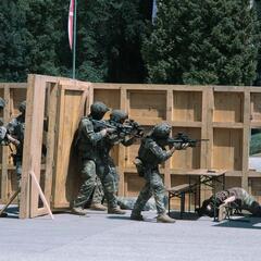 (Foto: Bundesheer/Sophia Bach)