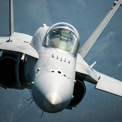 F/A-18 „Hornet“. (Foto: Bundesheer/Horst Gorup)