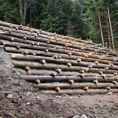Die fertige Krainerwand stabilisiert einen rutschgefährdeten Hang in Frankenfels/Schrammbach. Sie muss den Hang entwässern und darf daher nicht als Sperrwerk wirken. (Fotos: Bundesheer/Felix Höbarth)