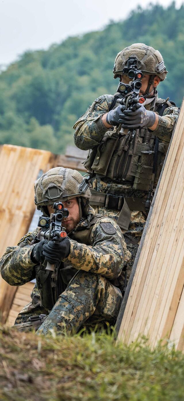 (Foto: Bundesheer/Rainer Zisser)